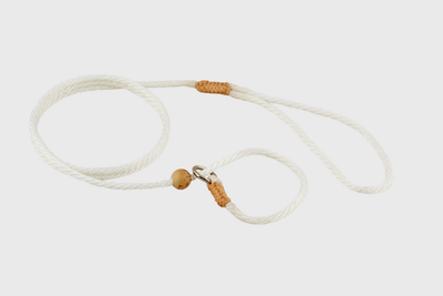 Alvalley Nylon Slip Lead with Stopper (4 ft x 4 mm)