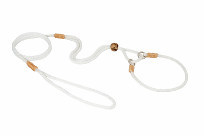 Alvalley Nylon Martingale Lead (10 in x 4 mm)