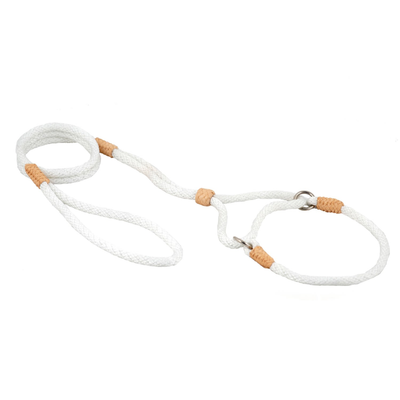 Alvalley Nylon Martingale Lead (10 in x 6 mm)