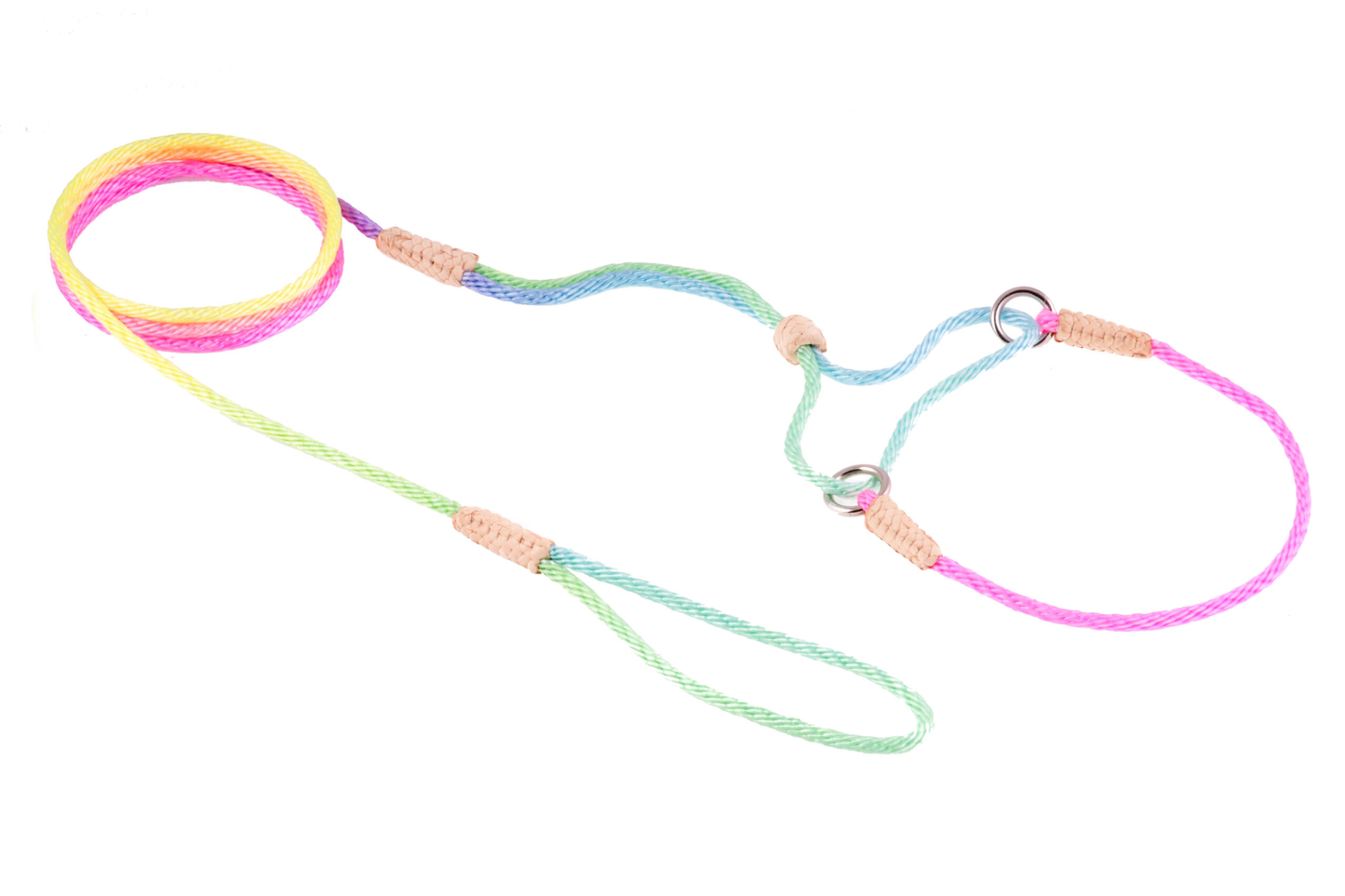 Alvalley Nylon Martingale Lead (8 in x 2 mm)