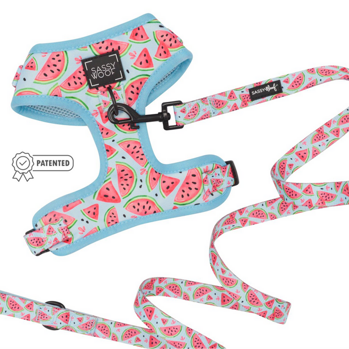 Sassy Woof Dog Harness & Leash Bundle Set