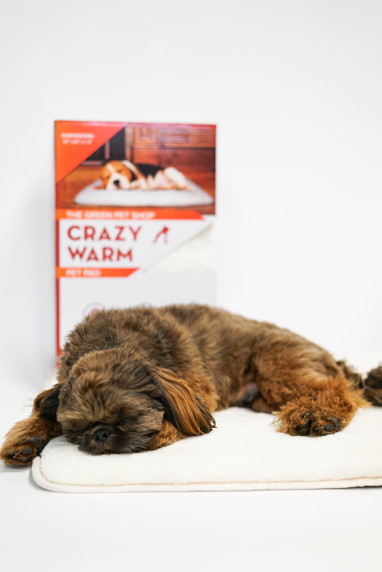 Crazy Warm Pet Pad with Memory Foam
