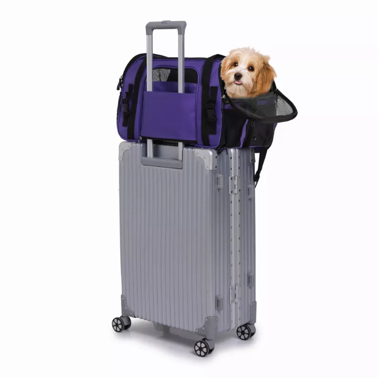 JESPET Soft-Sided Kennel Pet Carrier