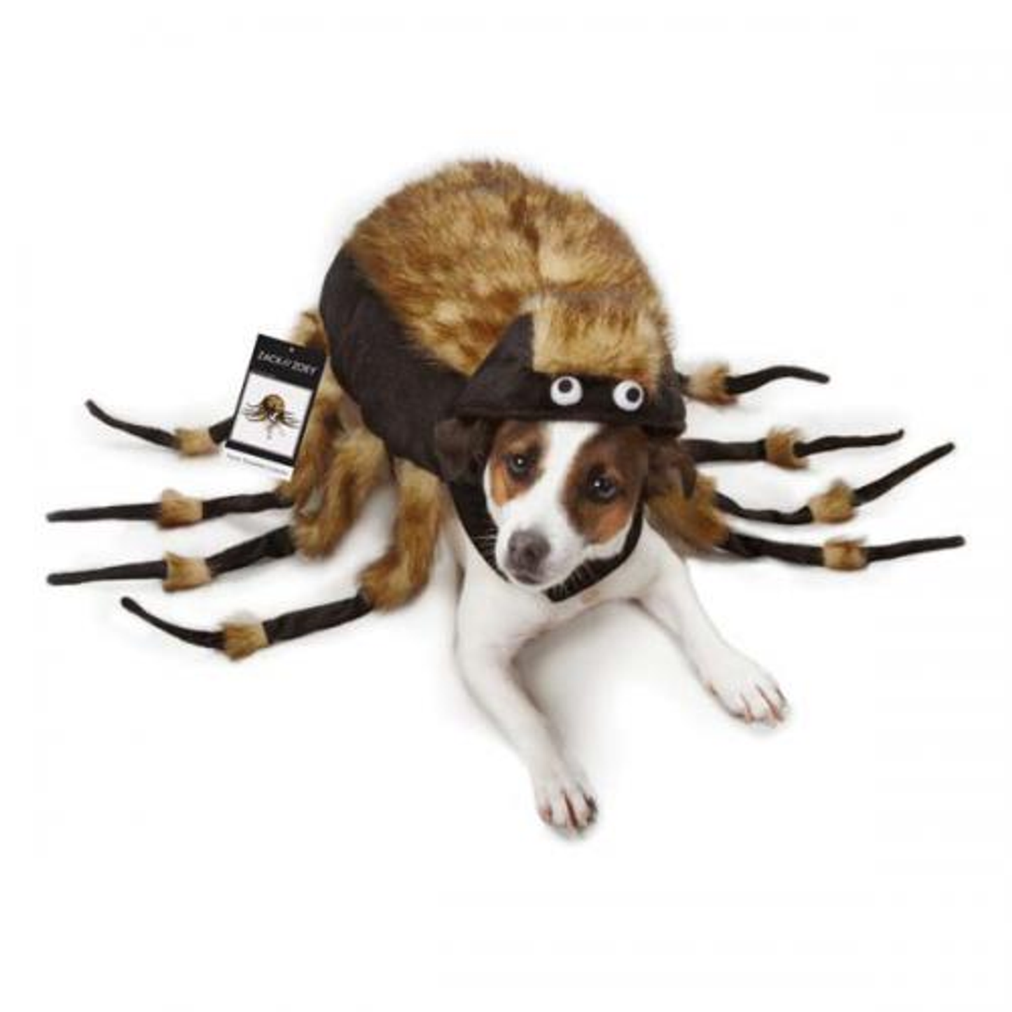 Zack & Zoey Fuzzy Tarantula Dog Costume