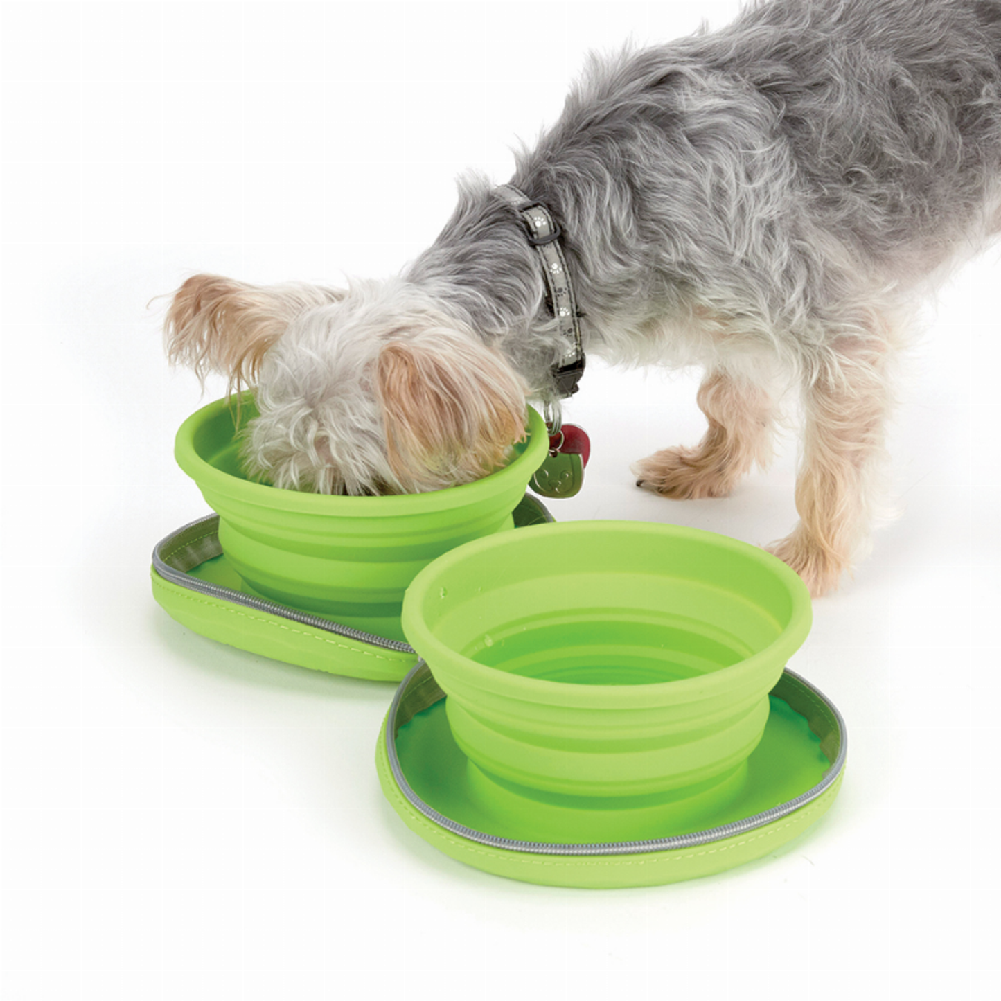 Cruising Companion Collapsible Travel Pet Diner 23oz