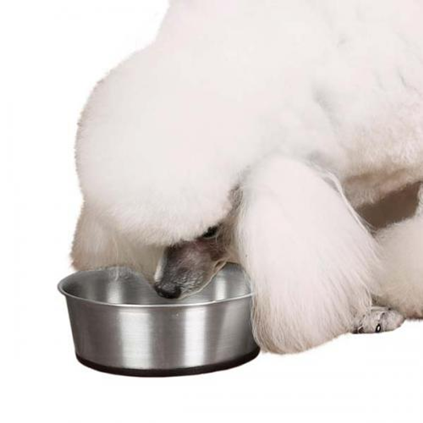 ProSelect Stainless Steel Bowl with Rubber Base 88 oz
