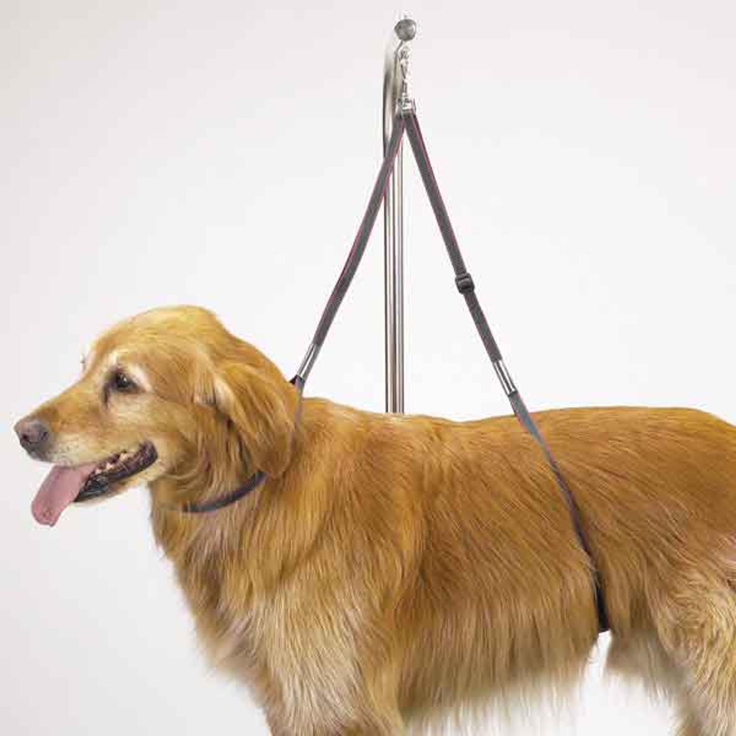 Top Performance Nylon Grooming Table Harness, 27 in