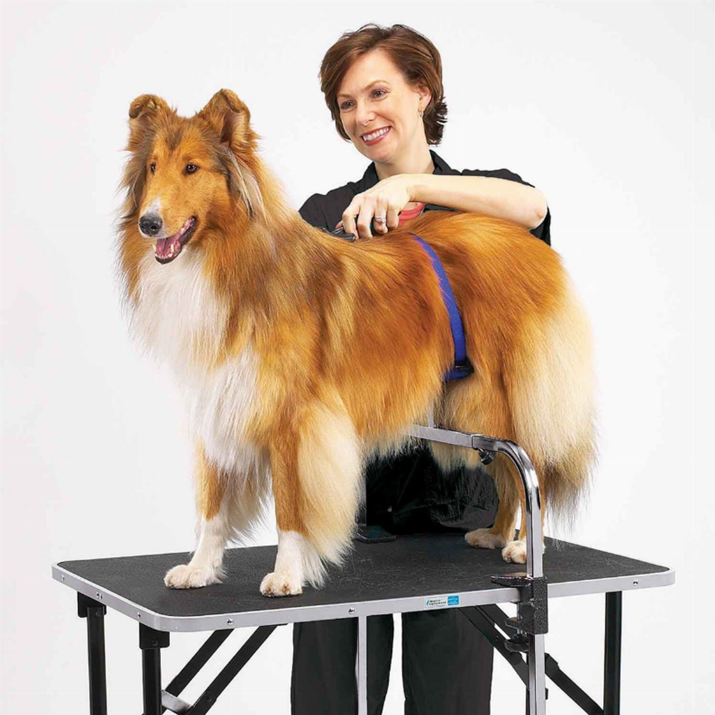 Master Equipment Adjustable Grooming Support