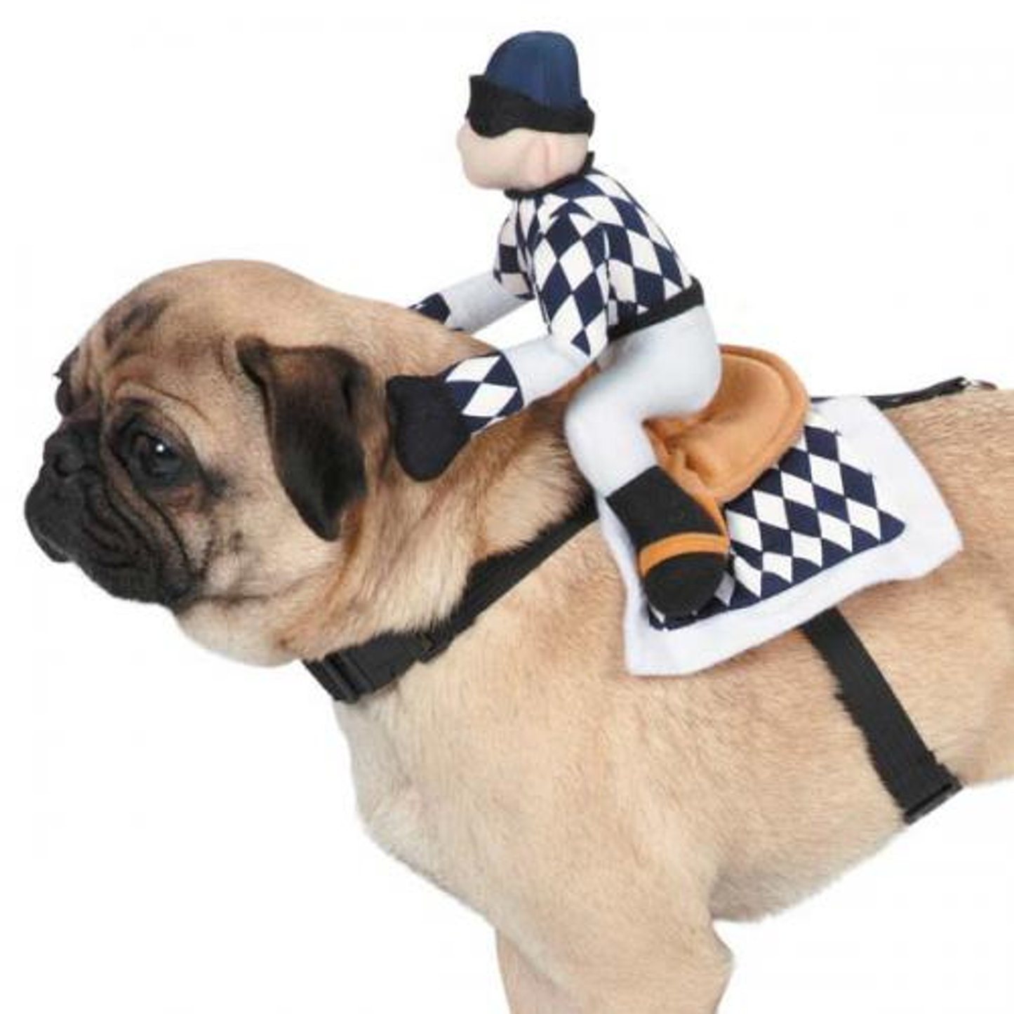 Zack & Zoey Show Jockey Saddle Dog Costume