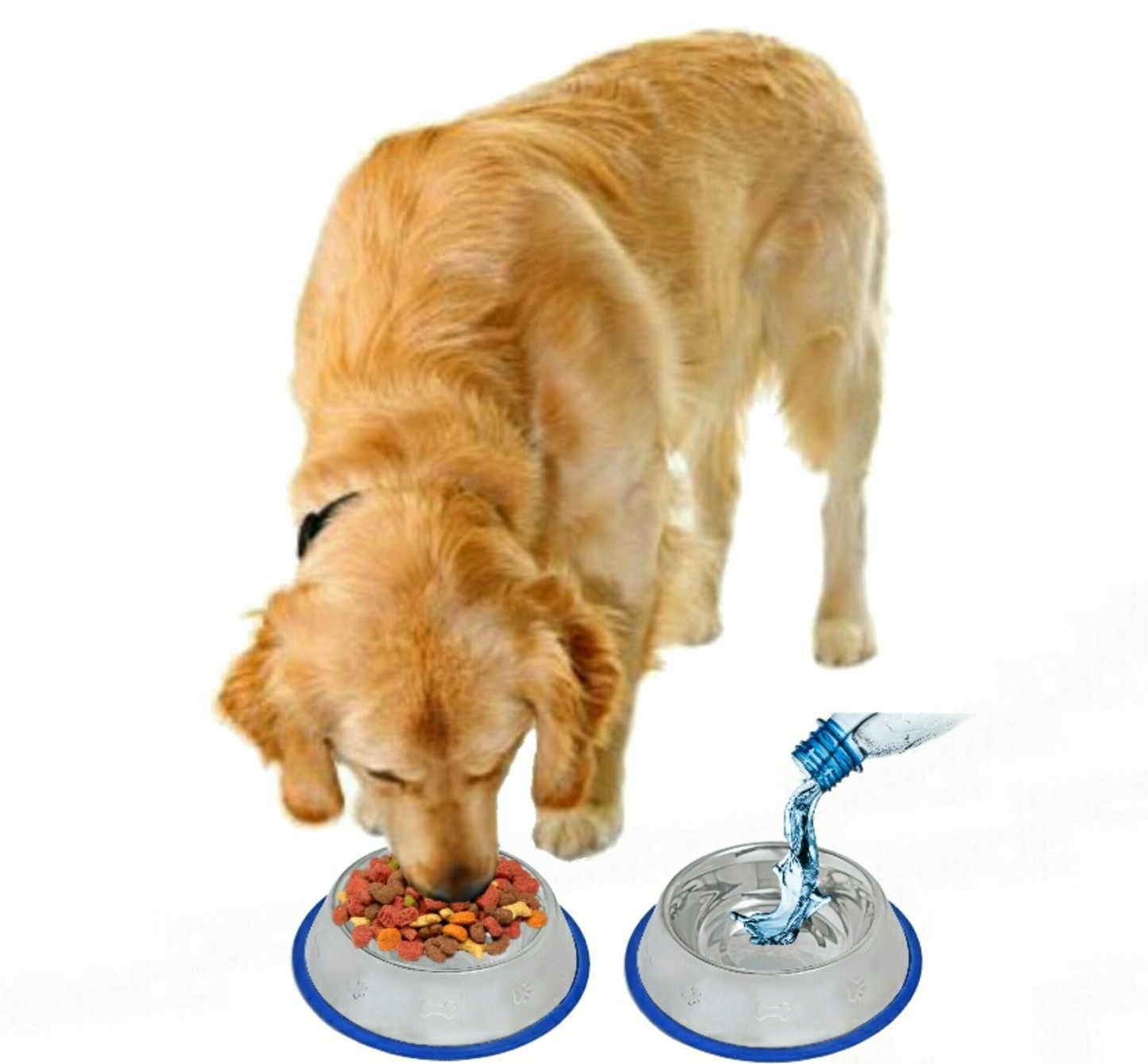Mr. Peanut's Etched Stainless Steel Dog Bowls with Silicone Base