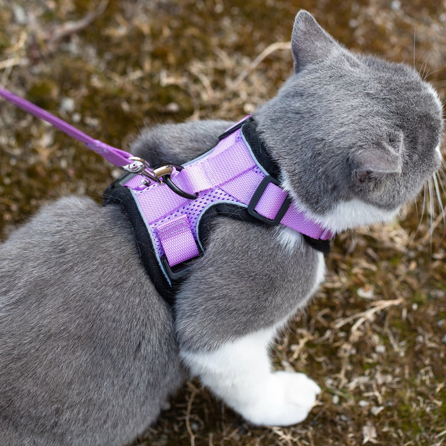 Mr. Peanut's PurrTrek Reflective Cat Harness with Leash