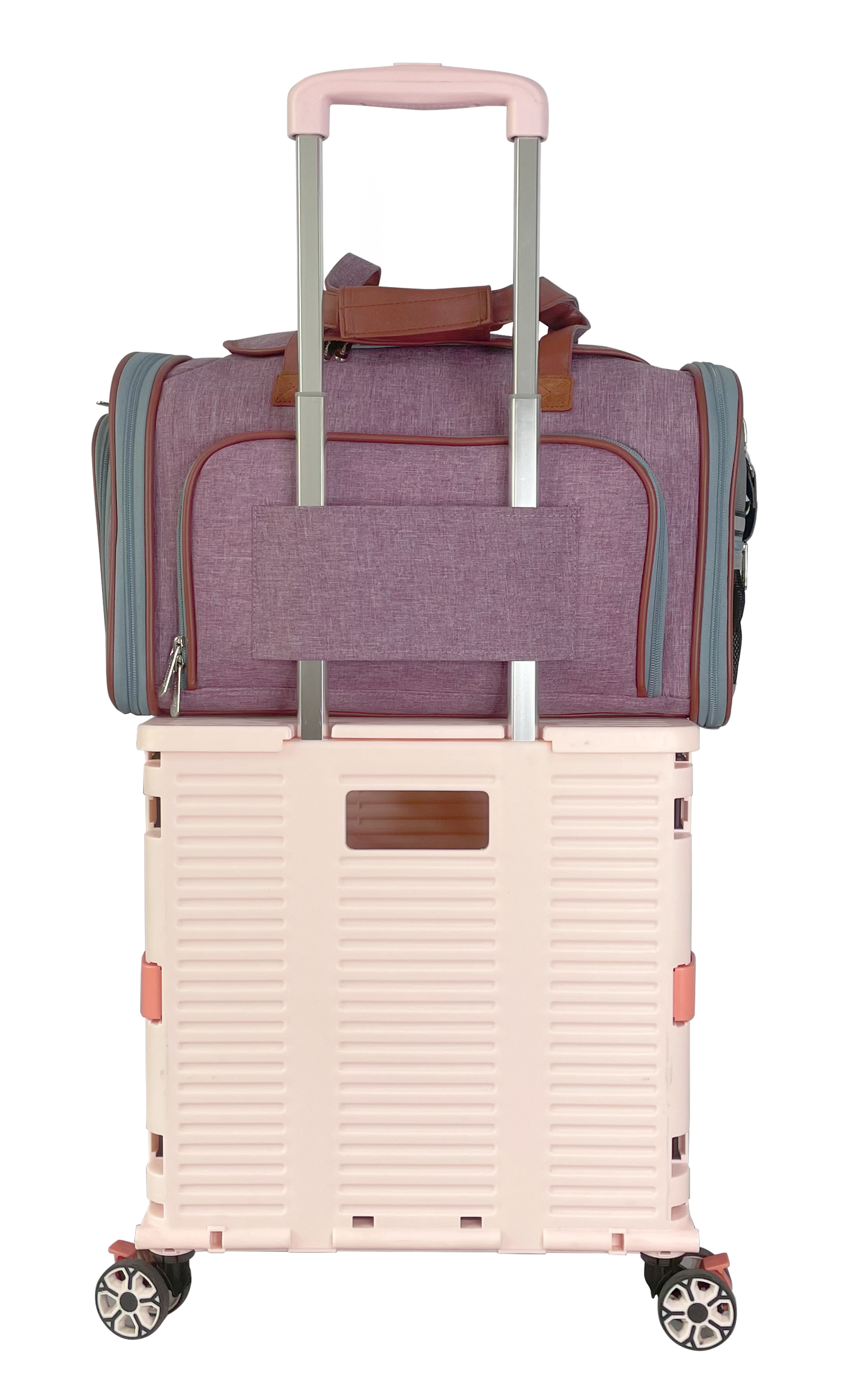 Mr. Peanut's Gold Series Standard Expandable Pet Carrier