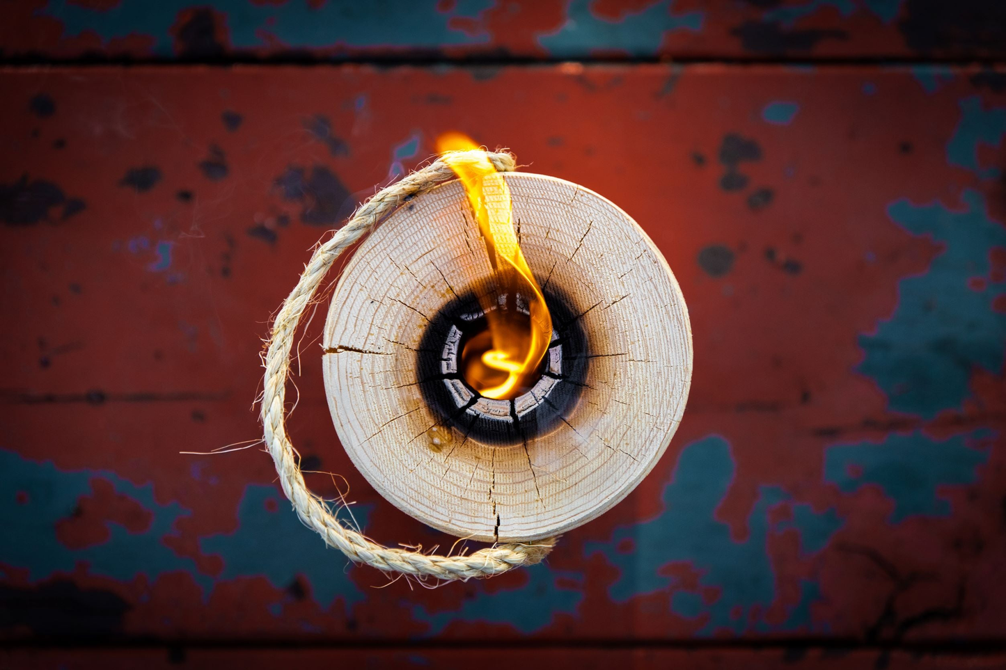 OneLogFire Internet Special Campfire Log