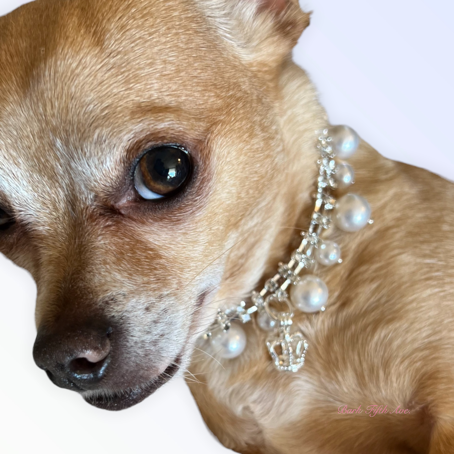 Rhinestone and Pearl Crown Dog Necklace