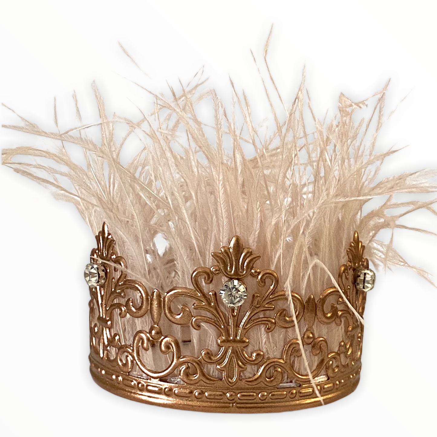 Zsa Zsa Glamour Girl Dog Crown