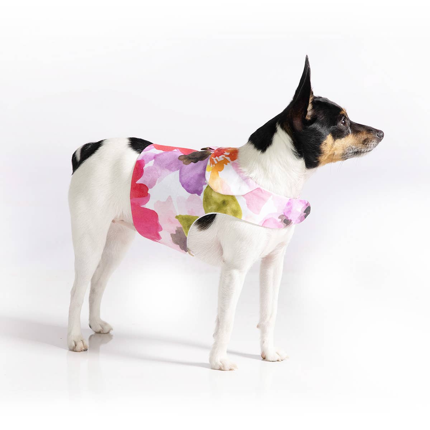 Fine Art Frolic Pink Vest-Style Dog Harness