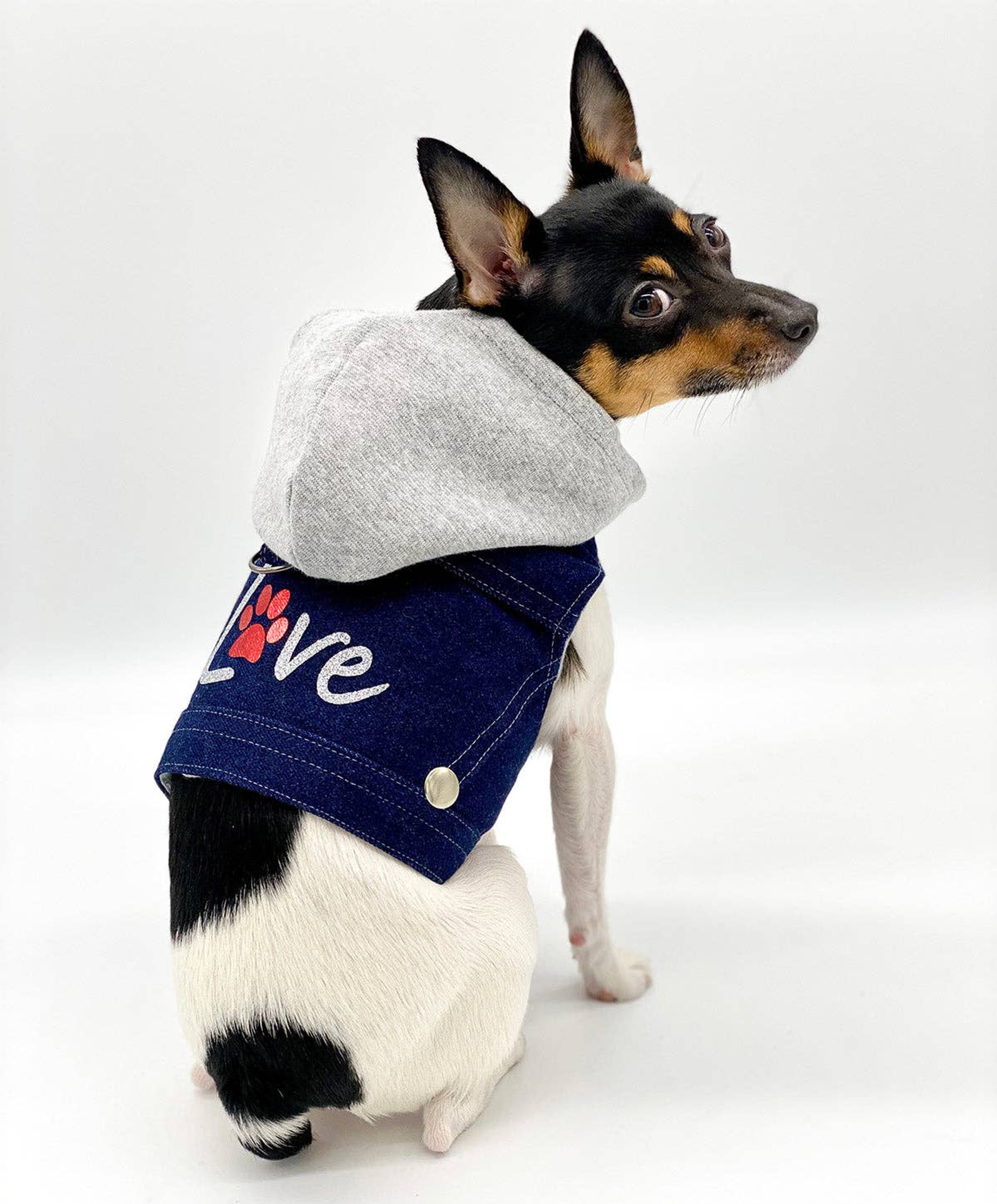 Denim Love Vest-Style Dog Harness