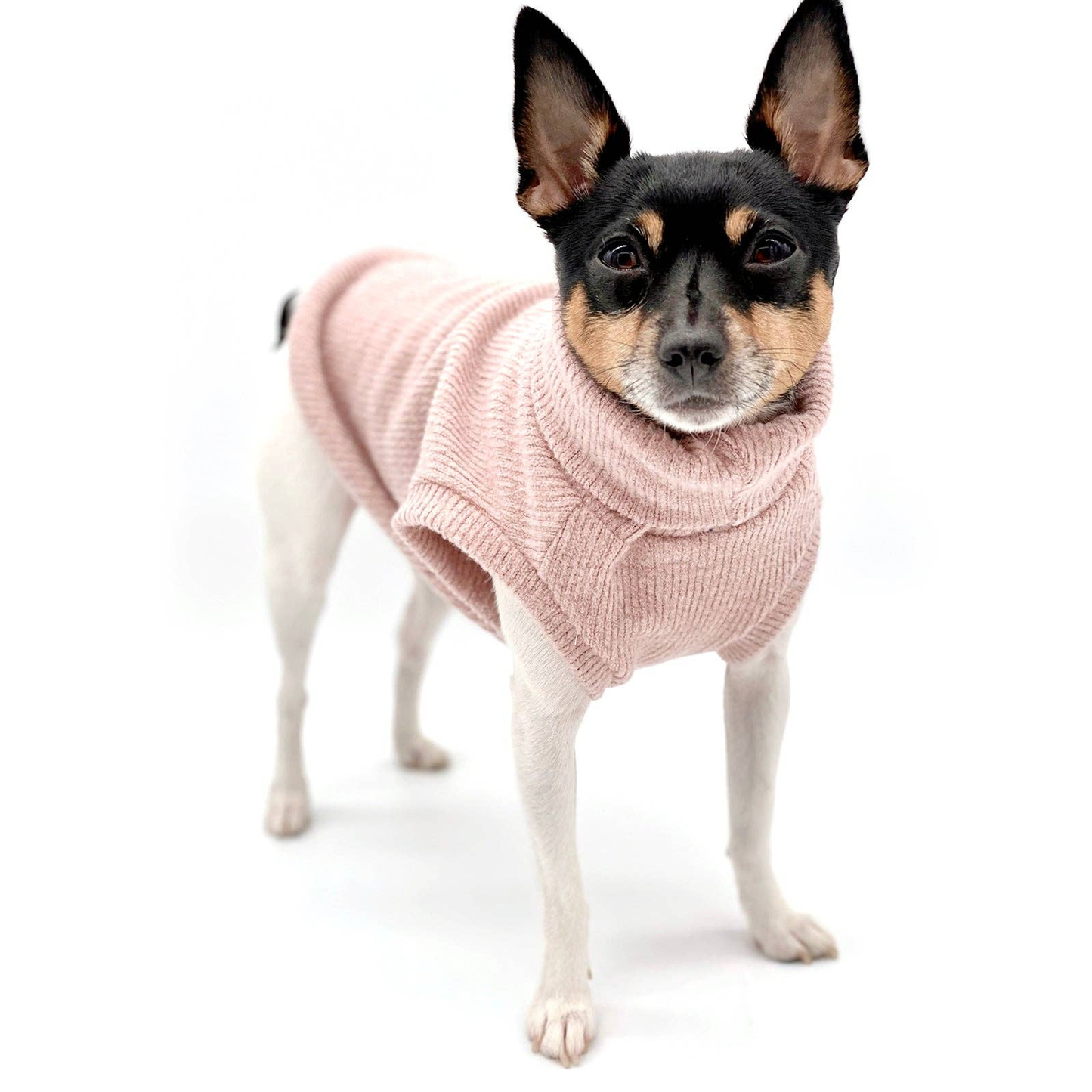 Pretty in Pink Dog Sweater