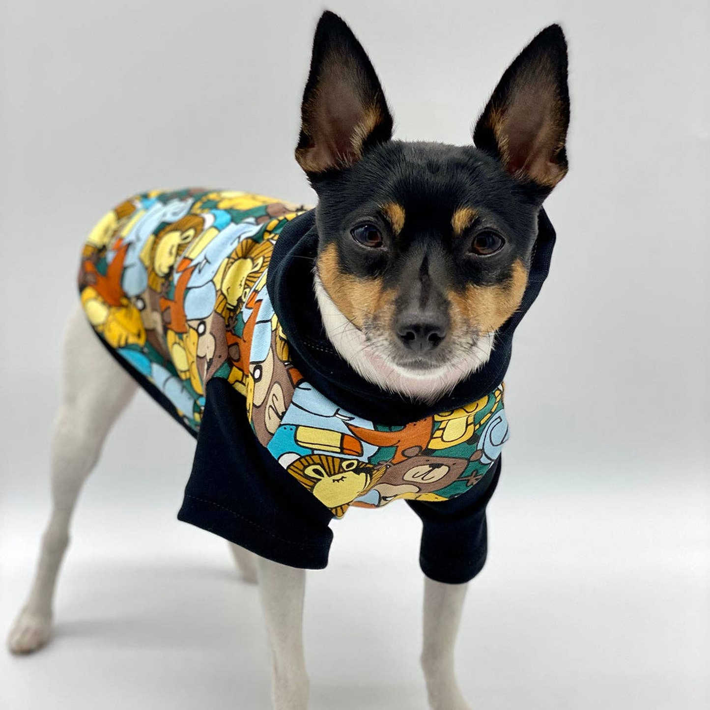 Day at the Zoo Dog Hoodie - Limited Edition