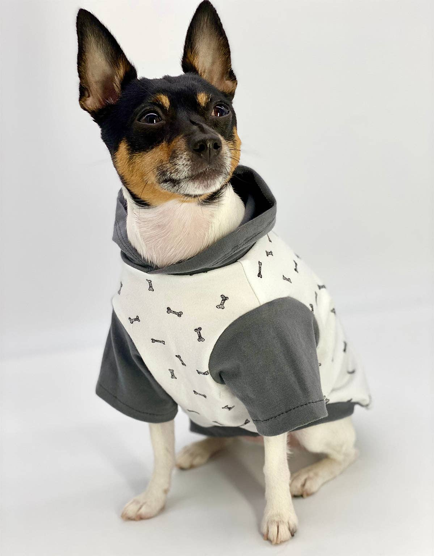 Wag and Bone Colorblock Dog Hoodie