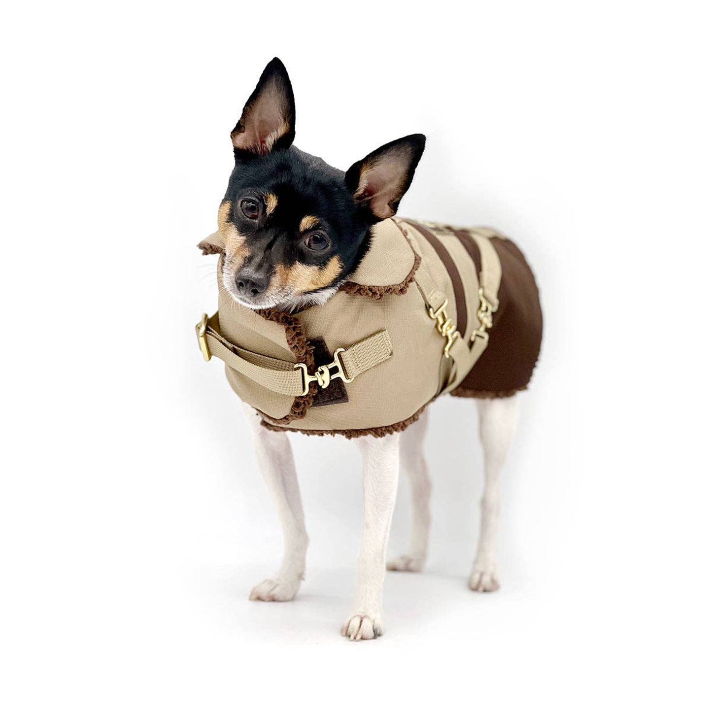 Classic Mocha Latte Equestrian Dog Coat