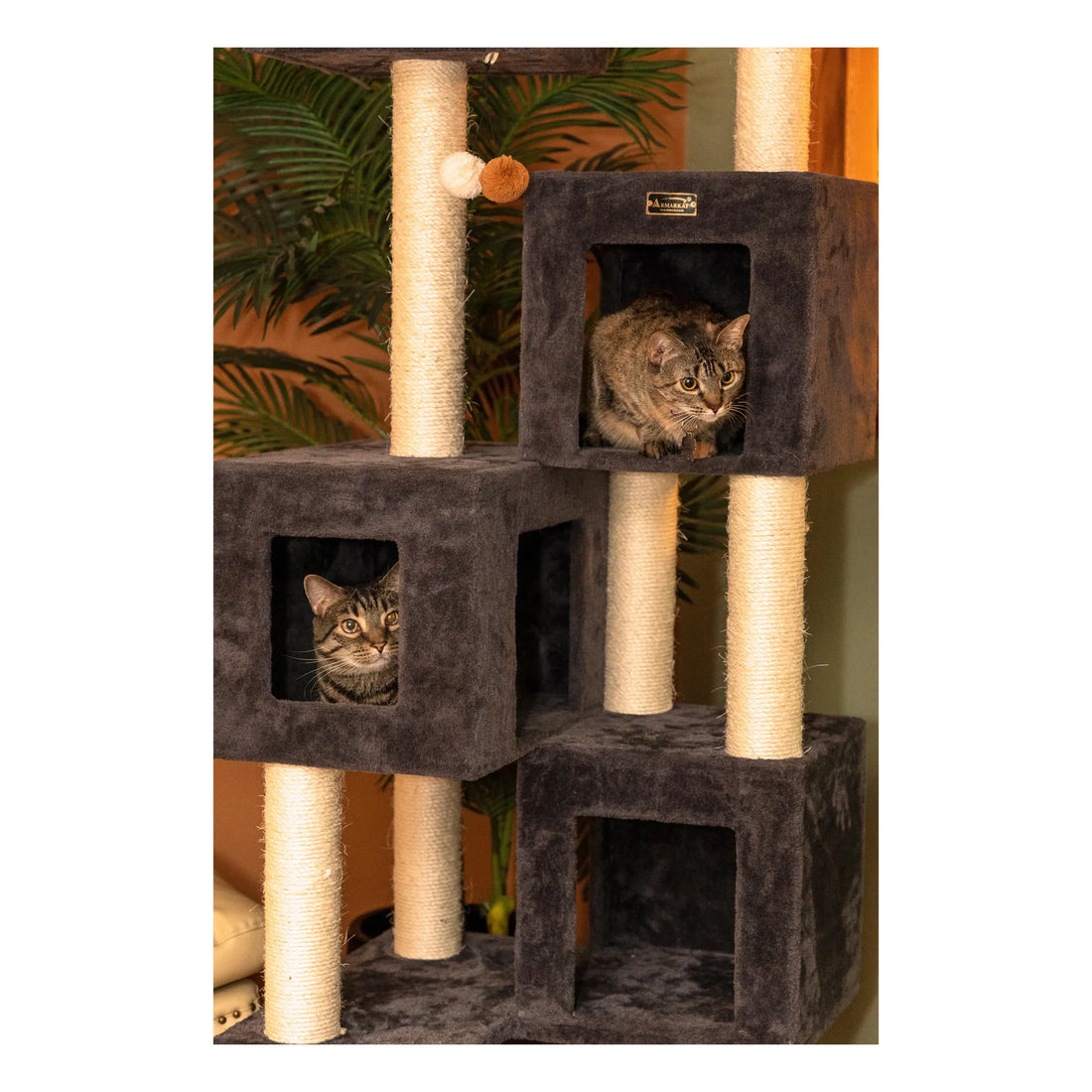 Griant Real Wood Cat Tower for Multiple Cats A8104