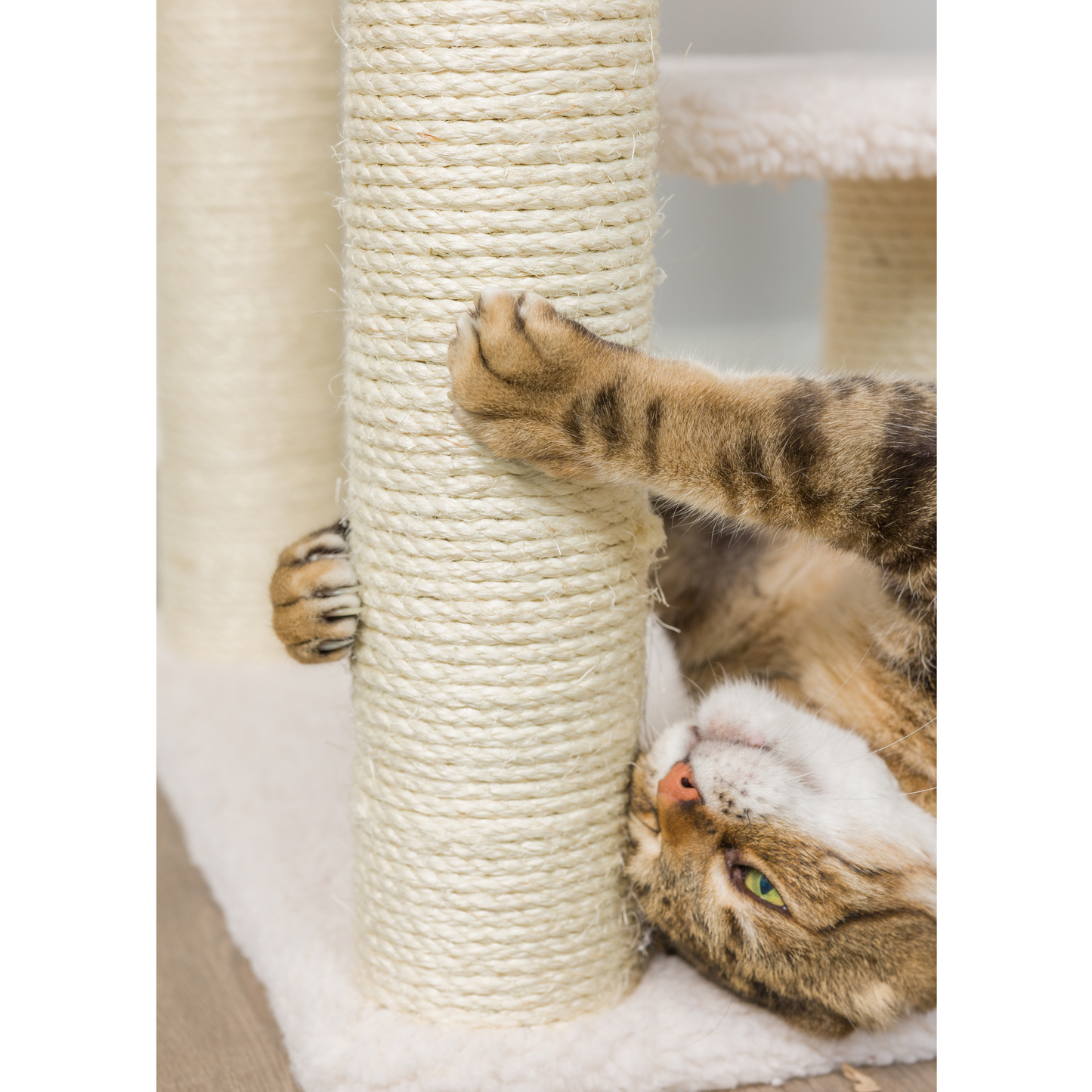 Armarkat 53-Inch Fleece Covered Real Wood Cat Tree