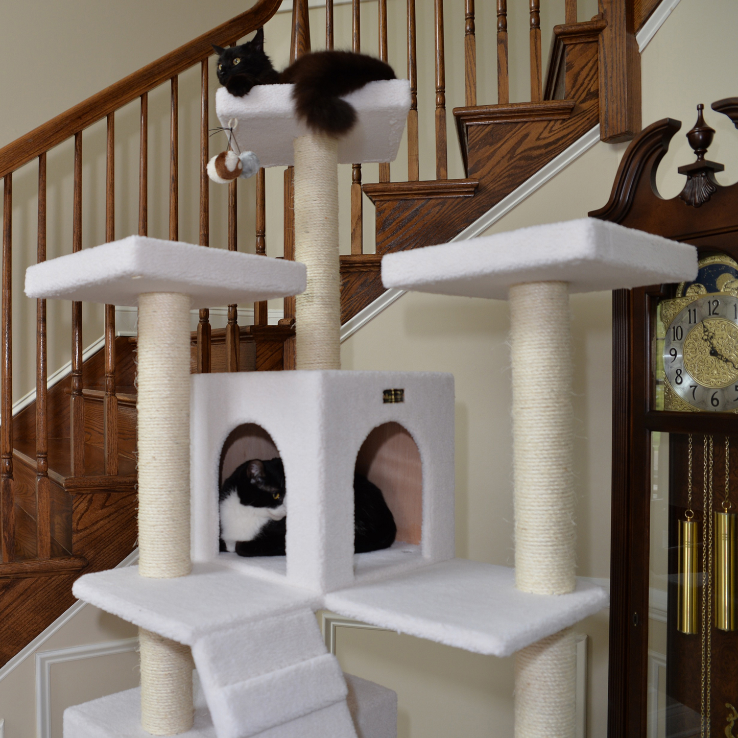 Armarkat Real Wood 77-Inch Ivory Cat Tree with 2 Condos