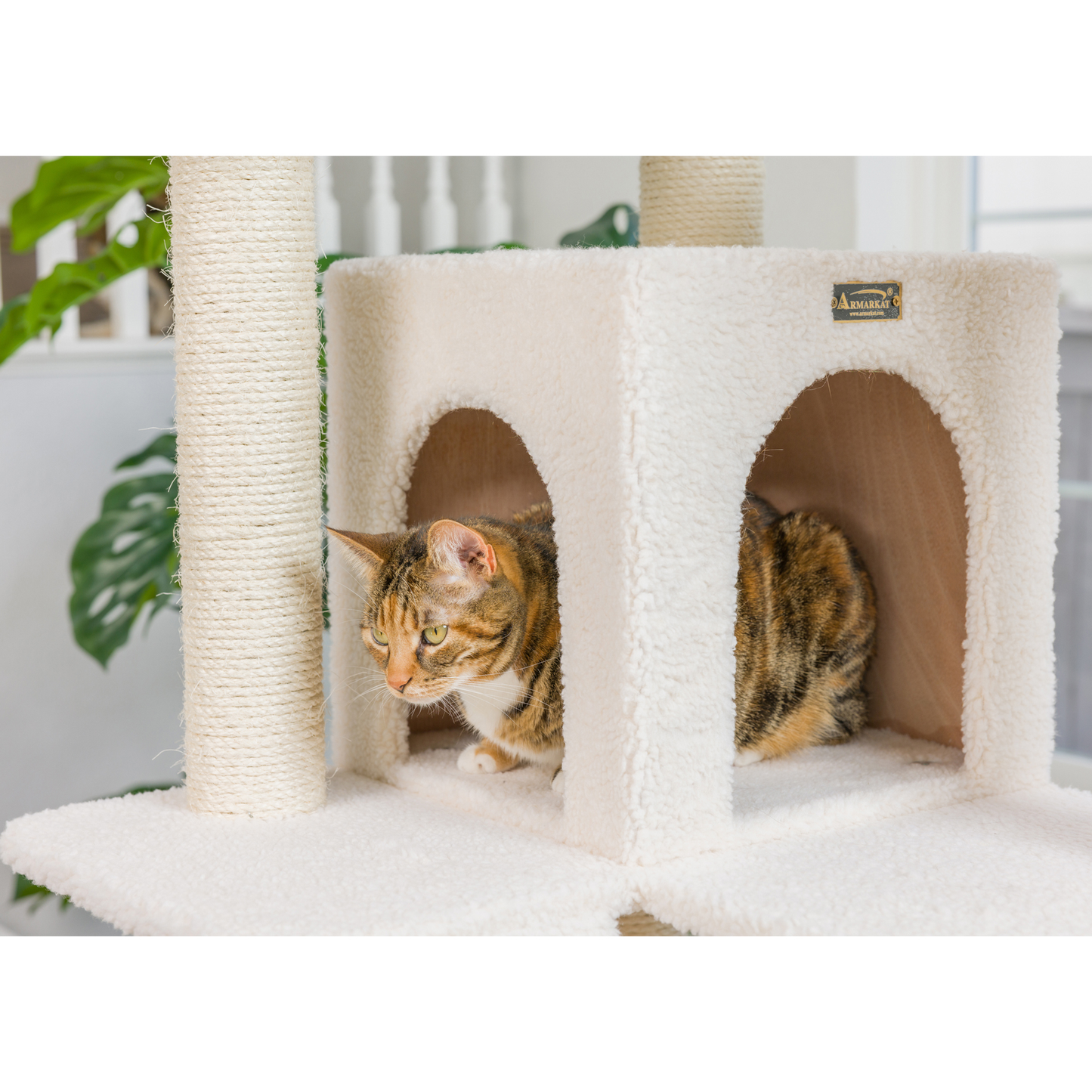 Armarkat Real Wood 82-Inch Ivory Cat Tree with Ramp