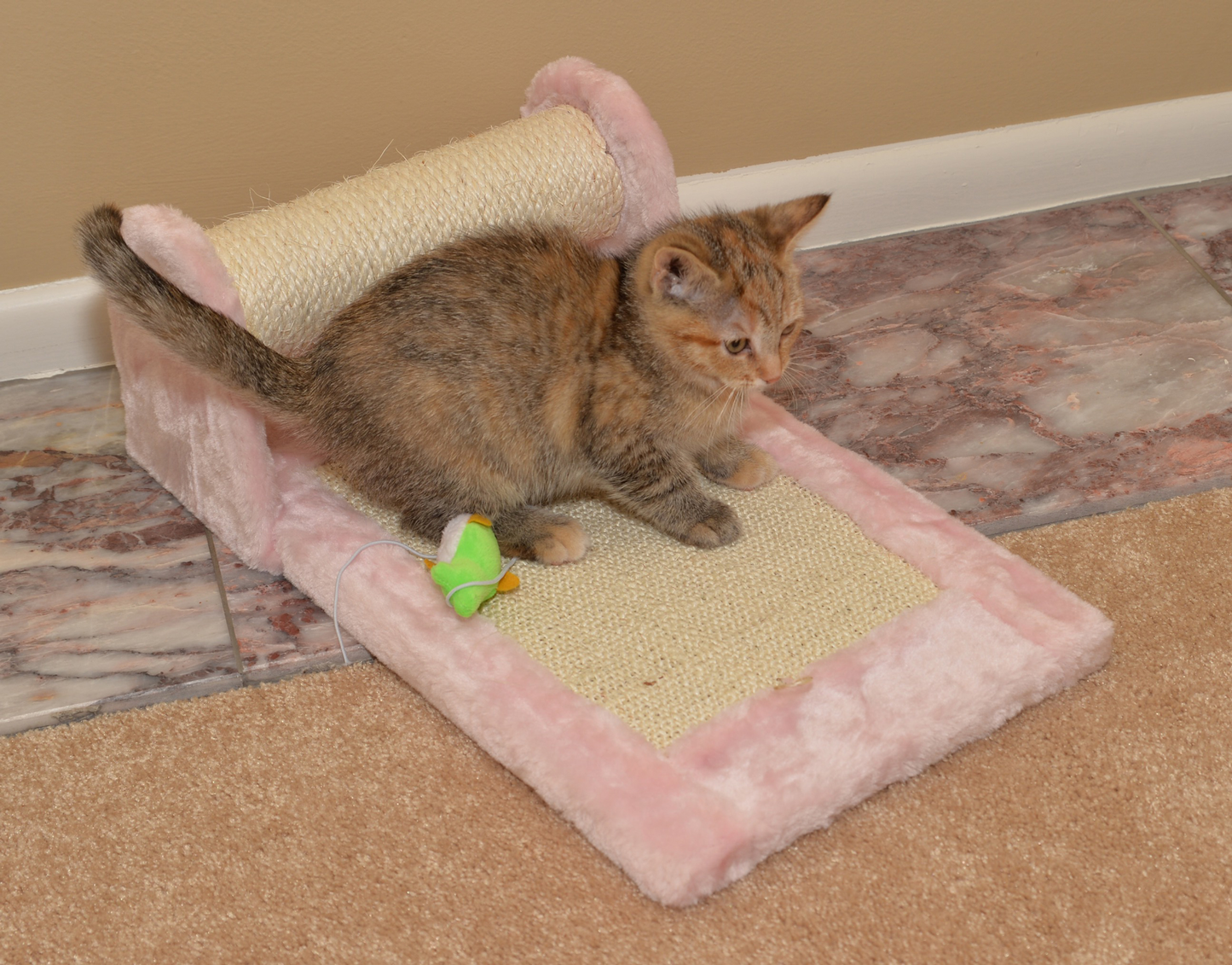 Armarkat Rolling Cat Scratcher Toy, Sisal Board for Cats