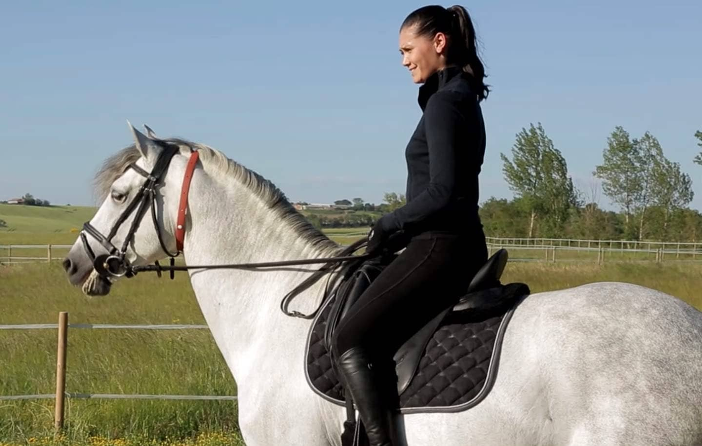ALZOO Herbal Repellent Collar for Horses