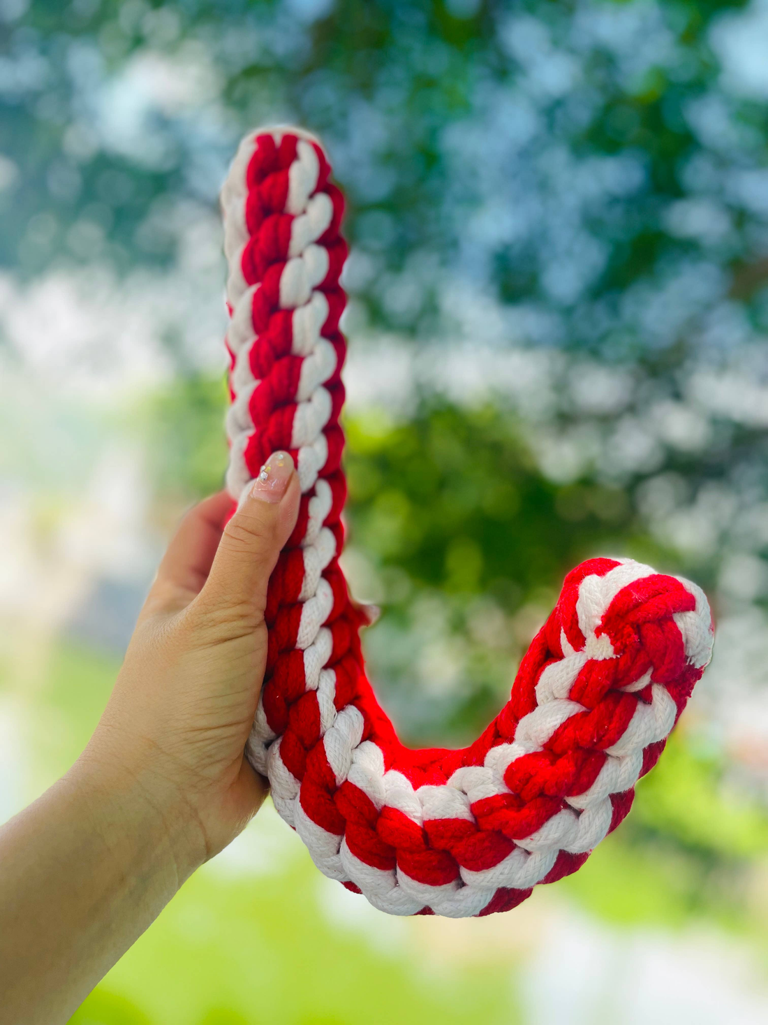 Jumbo Braided Rope Candy Cane Dog Toy