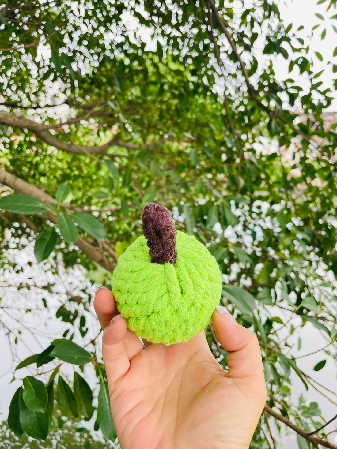 Handmade Sustainable Green Apple Rope Chew Toy for Puppies