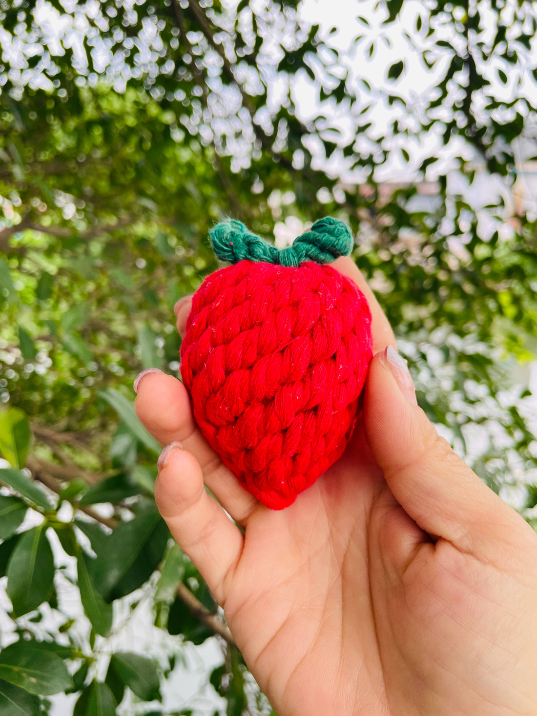Handmade Sustainable Strawberry Rope Chew Toy for Puppies