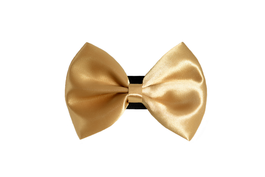 Pets Ribbons Wedding Satin Dog Bow