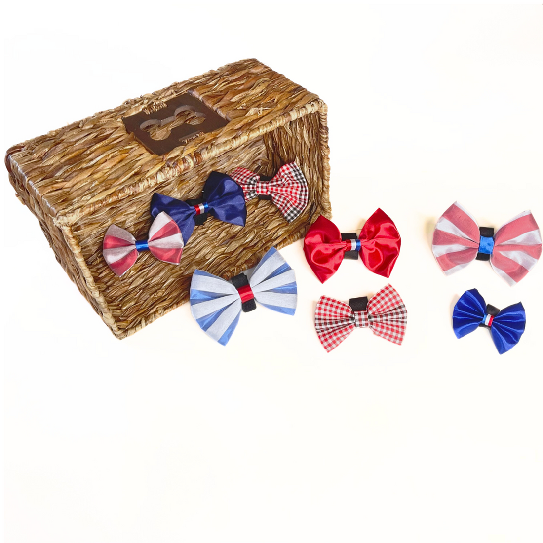 Pets Ribbons 4th of July Dog Bow Budget Bundle