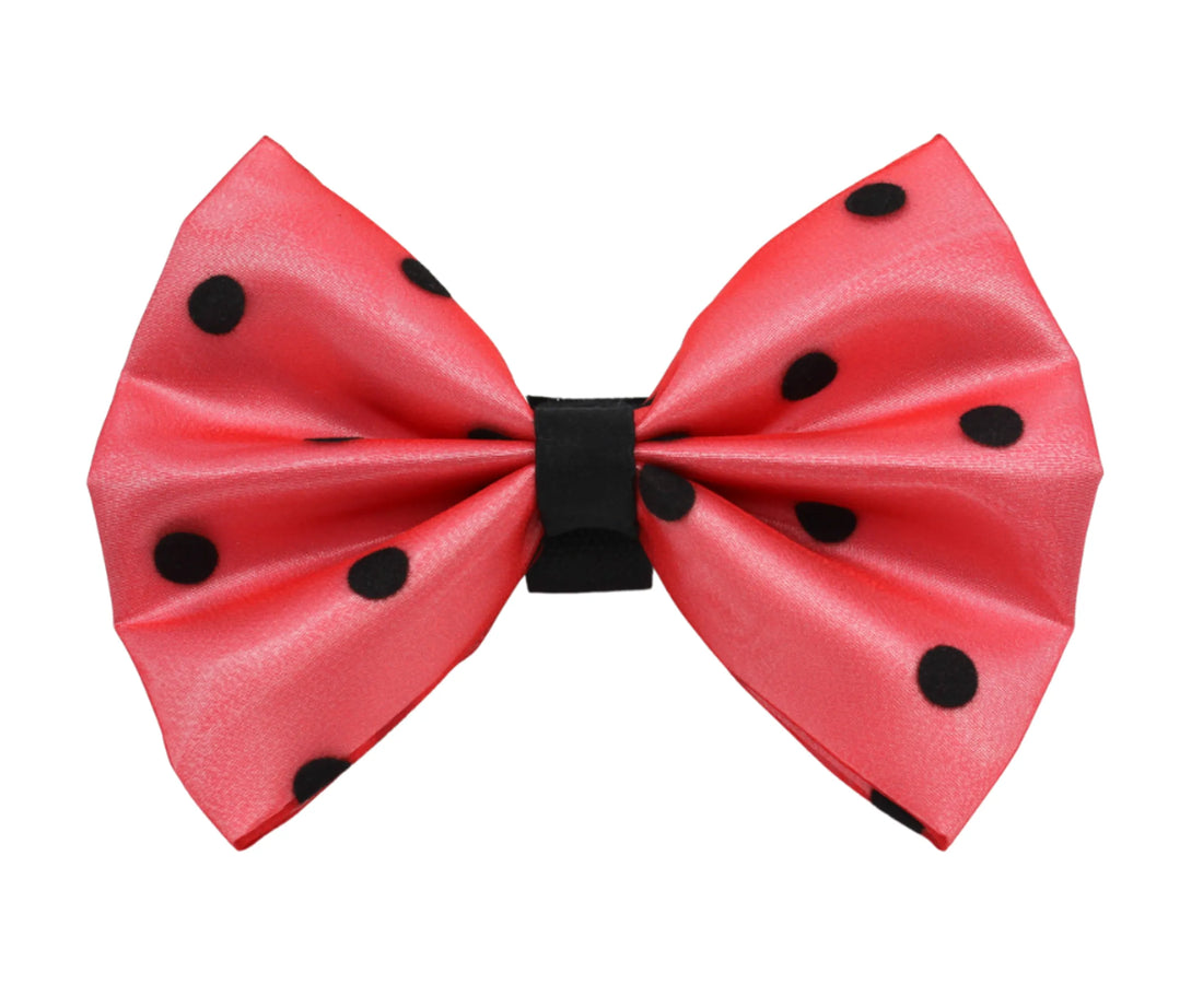 Organza Satin Polka Dot Dog Bow, Velcro Fastener