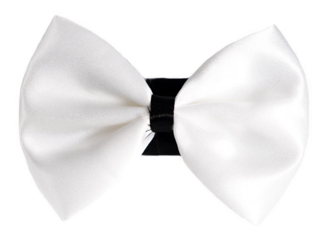 Pets Ribbons Wedding Satin Dog Bow with White Trim