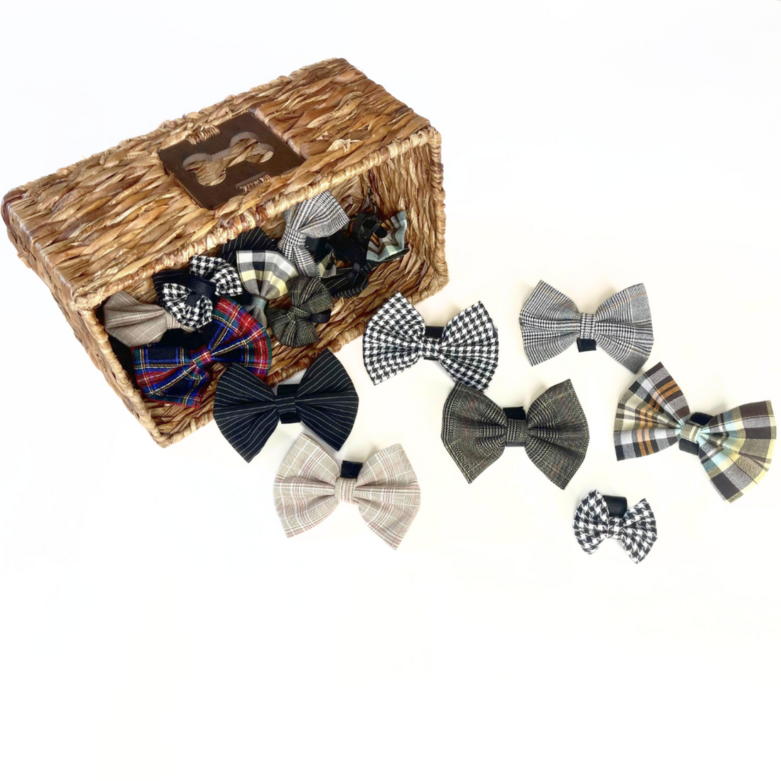 Pets Ribbons Boys Bow Tie Budget Bundle