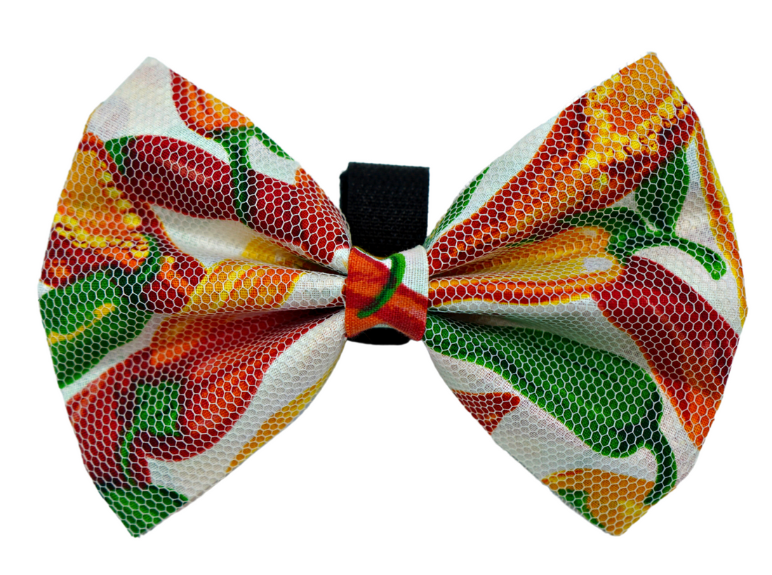Pets Ribbons Chilli Print Dog Bow, White Net