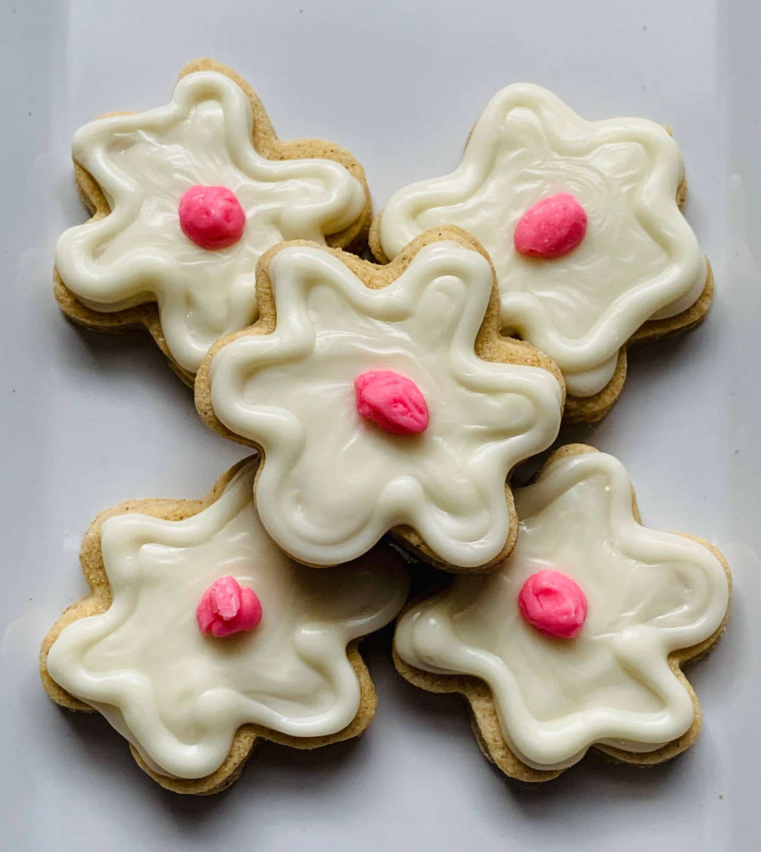 Fido Flowers — Dog Treats (Case of 12)