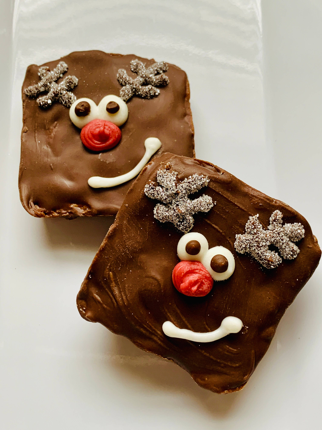 The Rudy Brownie — Dog Treats (Case of 12)