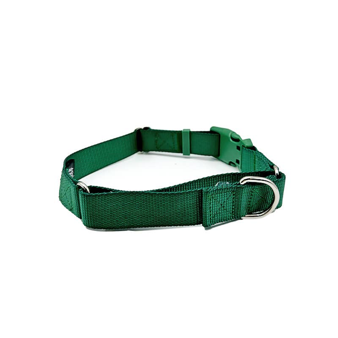 Come Here Buddy Green Martingale Dog Collar