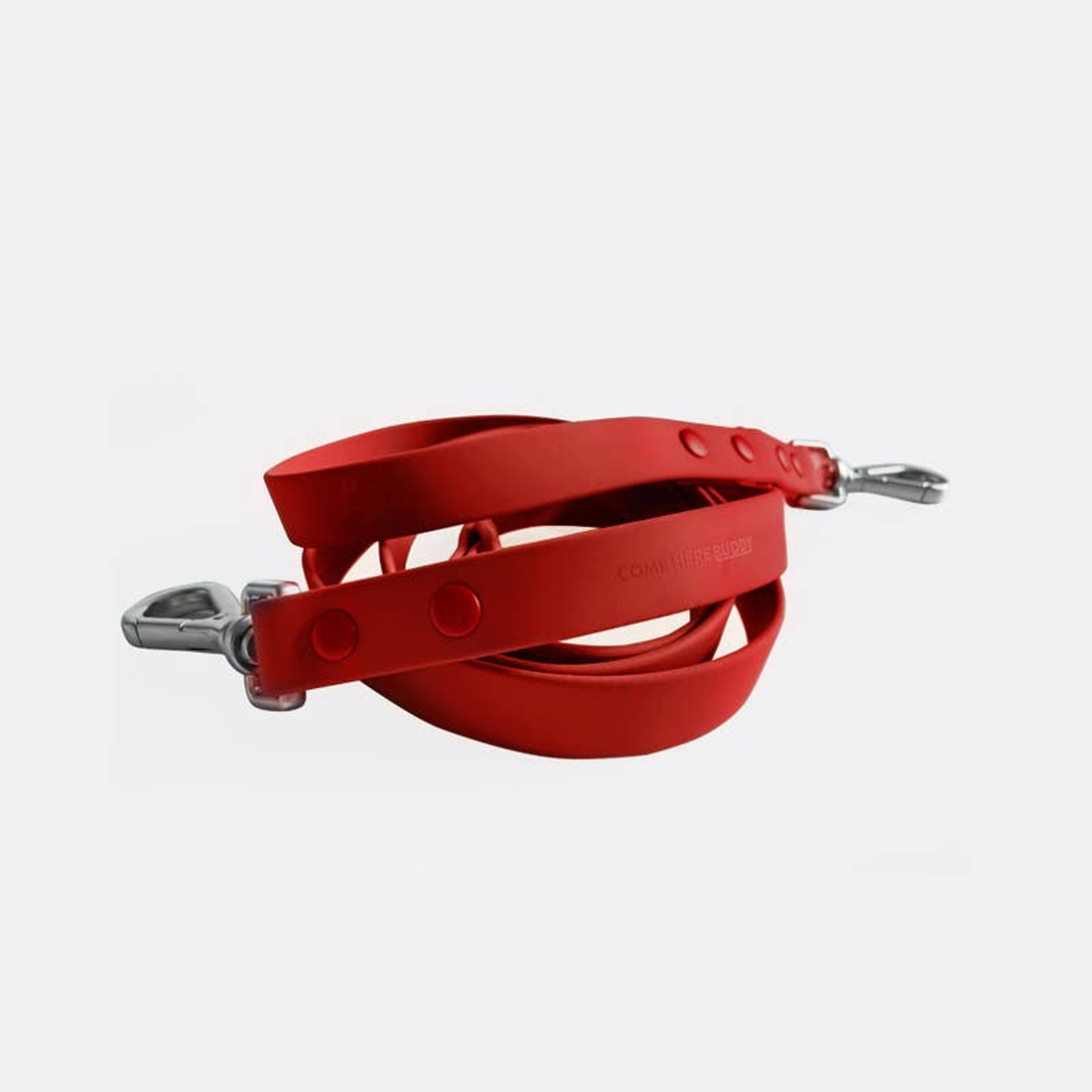 Come Here Buddy Red Dog Leash