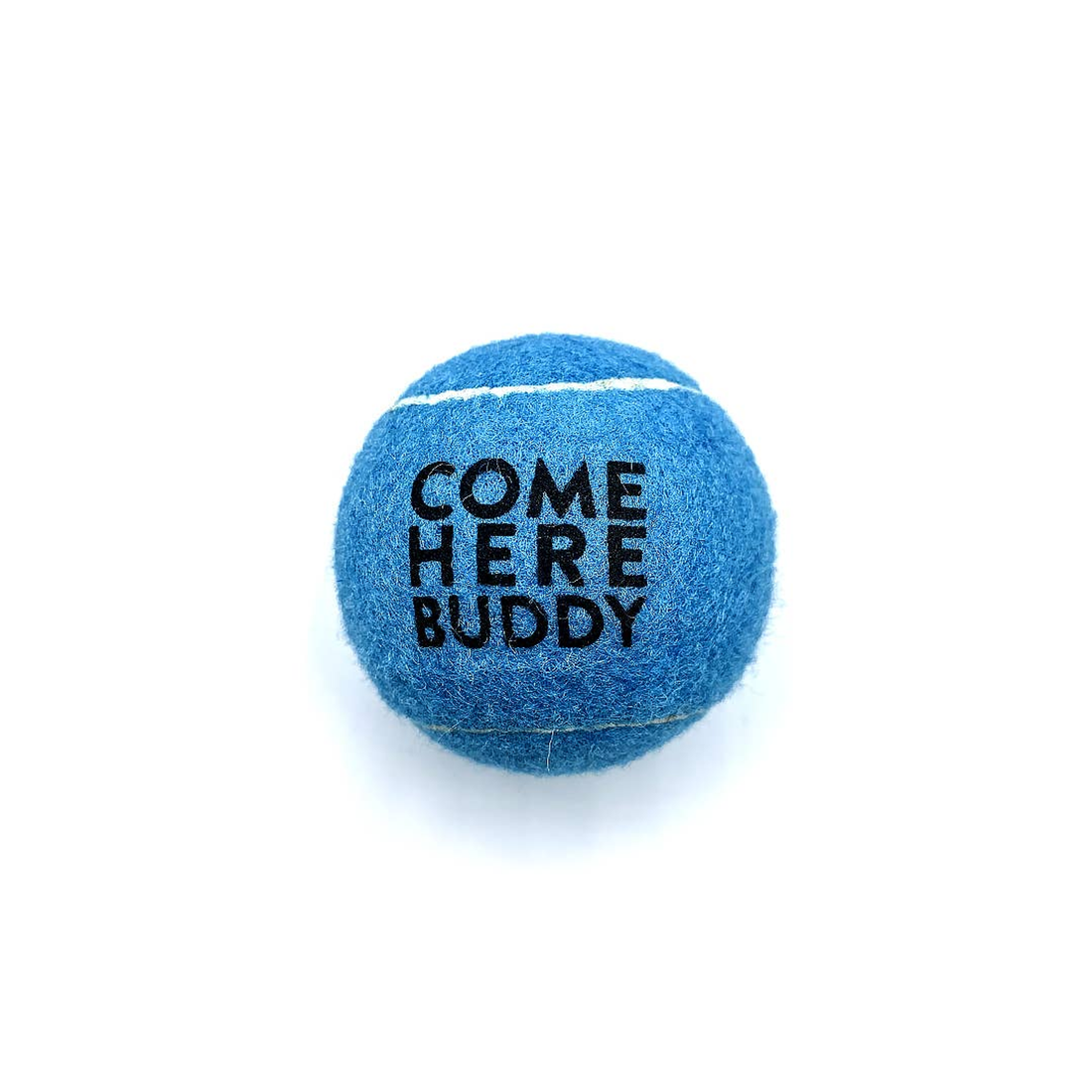 Come Here Buddy Tennis Balls Set of 4 - Sky Blue