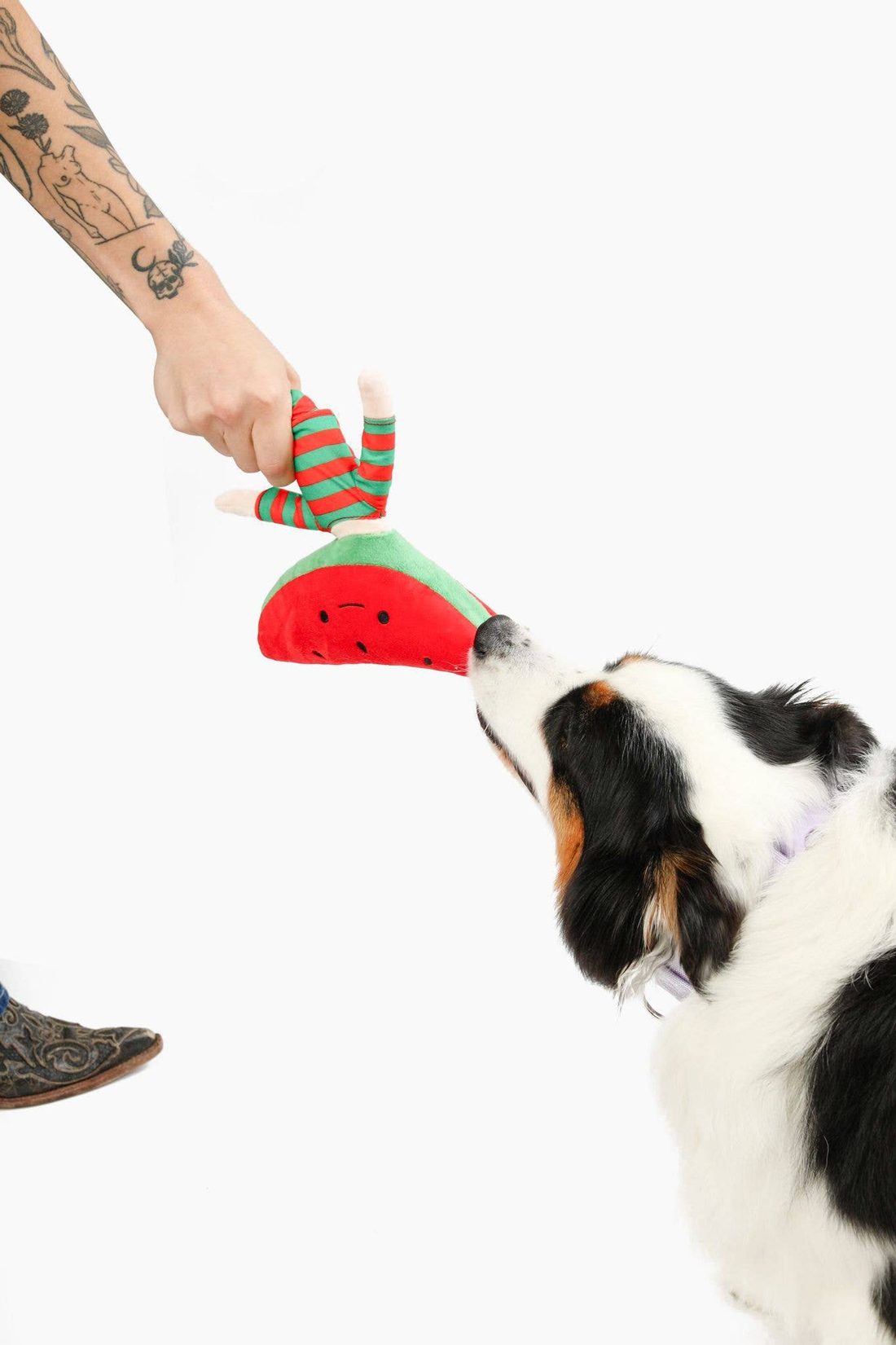 Come Here Buddy Watermelon Nosework Dog Toy