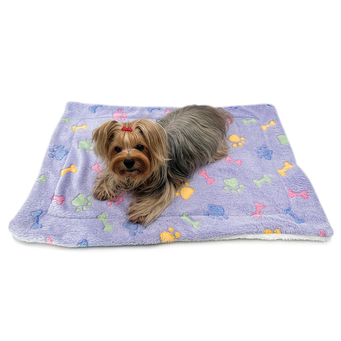 Ultra Plush Colorful Bones and Paws Dog Blanket