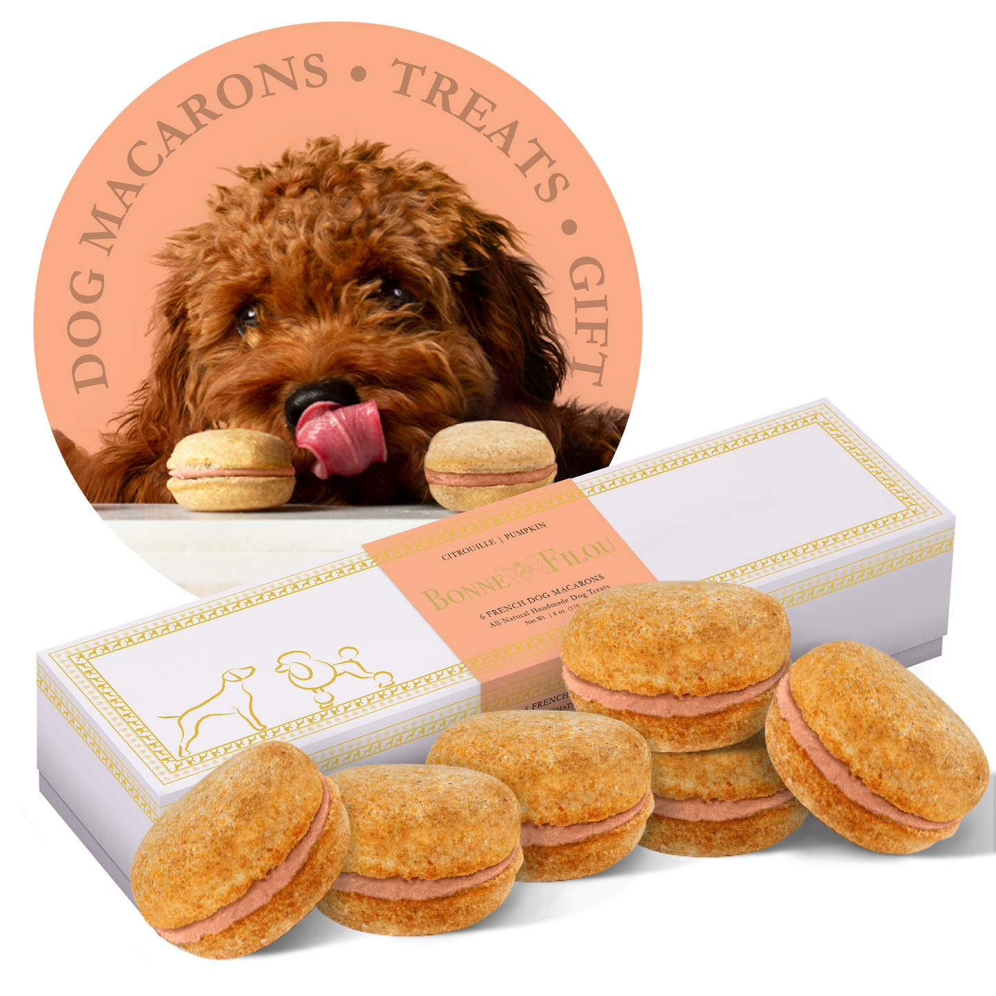 Bonne et Filou Dog Macarons - Box of 6