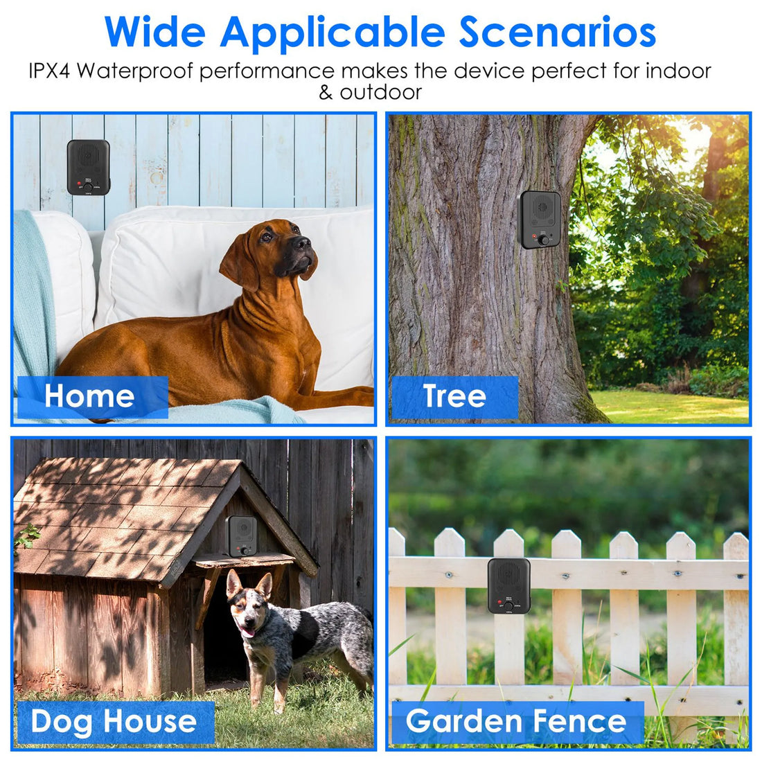 Dog near the ultrasonic anti-barking device outdoors