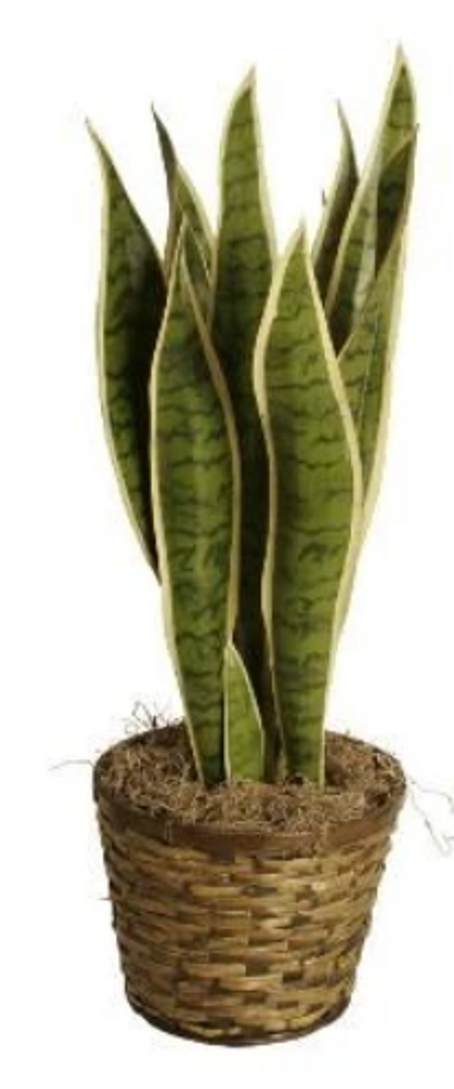 10 Inch Rattan Pot Cover